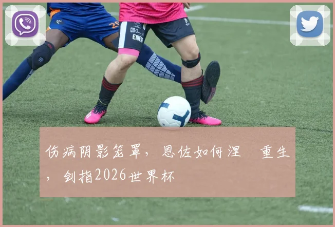 伤病阴影笼罩,恩佐如何涅槃重生,剑指2026世界杯